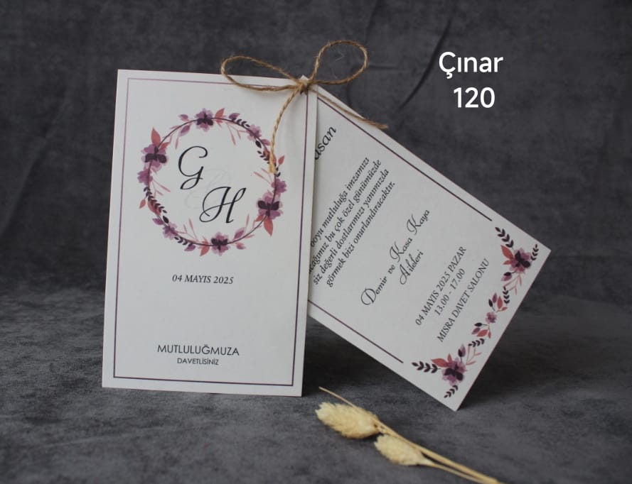 Çınar 120